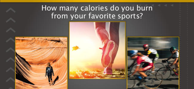 Calorie Calculator