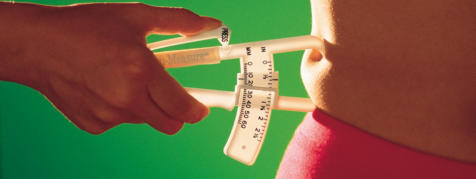 Body Fat Calculator